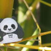 Eugy Panda Eko Układanka 3D - obrazek 7