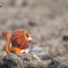 Eugy Lew Eko Układanka 3D - obrazek 5