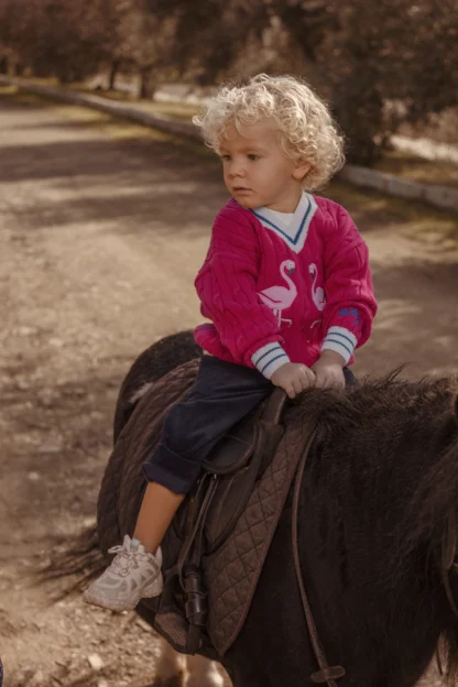 KID STORY Sweterek z bawełny organicznej Red Flaming - obrazek 4