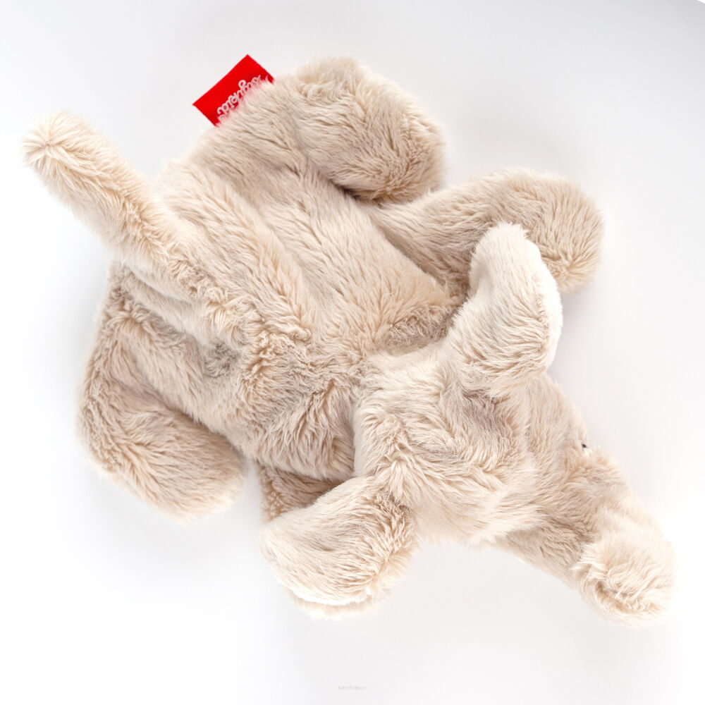 Sigikid Pierwsza przytulanka pluszowy mini Słonik - obrazek 5