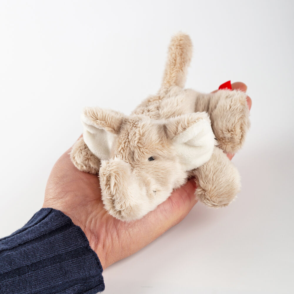 Sigikid Pierwsza przytulanka pluszowy mini Słonik - obrazek 6