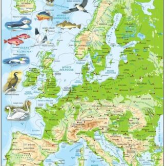 Larsen Mapa topograficzna Europy 87 elementów